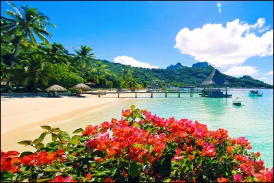 Quel pays préfères-tu ?