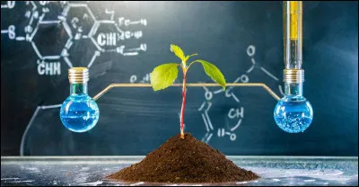 De quelle couleur est représenté l'atome de carbone ?