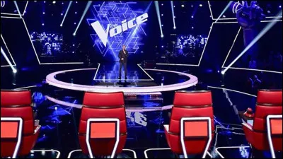 Qui a été coach dans ''The Voice'' ?