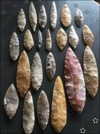 Pourquoi Pelage de Silex est-il mort ?