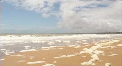 Qui est la mère de Petite Écume ?