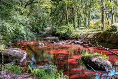 Qui est la belle-fille de Rivière d'Argent ?