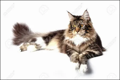 Tu apprends que ta sur attend des petits mais elle ne te l'a pas dit, que fais-tu ?