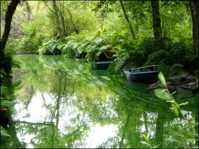 Tu préfères vivre...