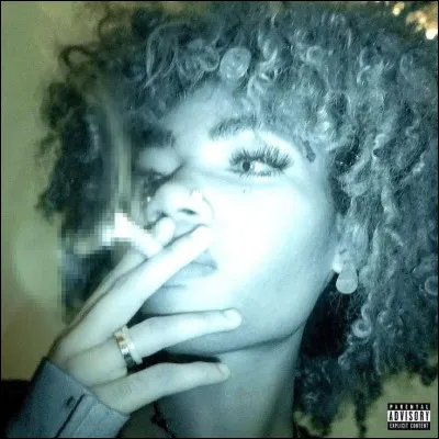 Quel est cet album de Wolfacejoeyy ?