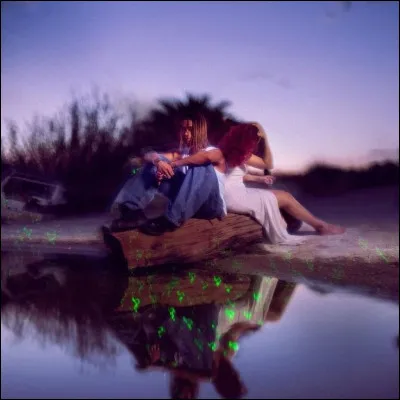 Quel est cet album de Ka$hdami ?