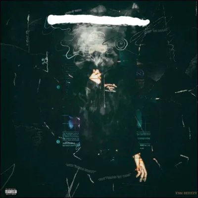 Quel est cet album de TSM Beeezy ?
