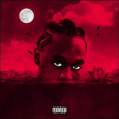 Quel est cet album de TyFontaine ?