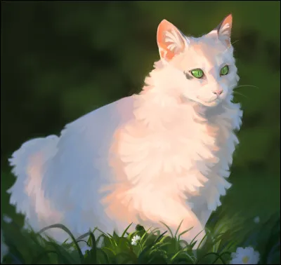 Pour la dernière question je vais vous faire deviner un de mes personnages préférés : "Je suis blanc/he, j'ai les yeux verts et j'ai vécu à l'aube des clans. Qui suis-je ?"
