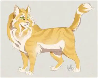 Qui est ce magnifique chat ?