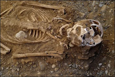 Qui voulez-vous tuer ?