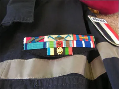 Colonel à trompe.. .