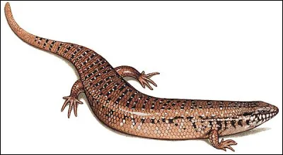 Km 151,9 : Saint-Lary-Soulan Pla d'Adet. Combien de lacs couvrent la commune ?