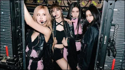 Quel est le lightstick du groupe Blackpink ?