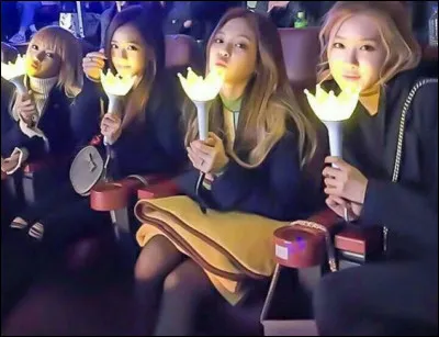 À quel groupe appartient ce lightstick ?