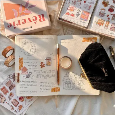 Fais-tu du journaling (bullet journal...) ?