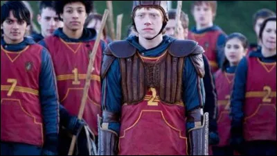 Entraîneur et Capitaine des Gryffondor au quidditch...