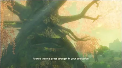 Quel est le nom de l'arbre qui veille sur Hyrule ?