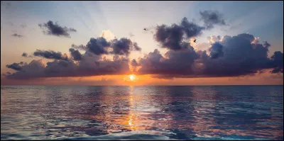 Les oiseaux chantaient joyeusement au [levais] du soleil.