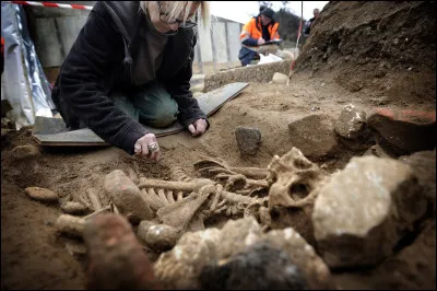 Aventurière archéologue ultra-sportive...