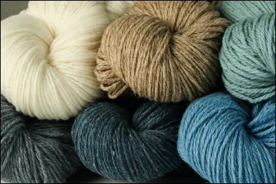 Km 197,7 : Plateau de Beille. Avec une pente parfois à 9%, la route traverse la forêt puis les derniers kilomètres sont parcourus à découvert, C'est sur cette partie que des surprises peuvent apparaître, que pourrait-on y voir ?