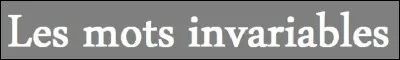 Qu'est-ce qu'un mot invariable ?