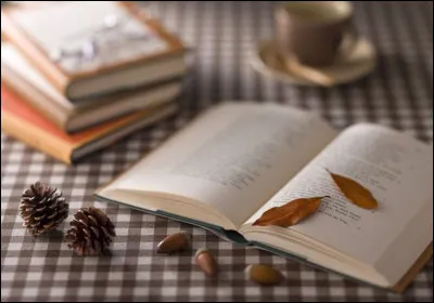 Complétez le titre de ce roman de Gustave Flaubert : "L'Éducation...