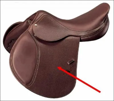 Quelle est cette partie de la selle ?