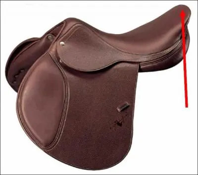 Quelle est cette partie de la selle ?