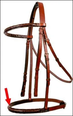 Quelle est cette partie du filet ?