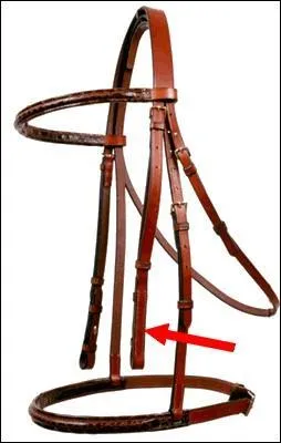 Quelle est cette partie du filet ?