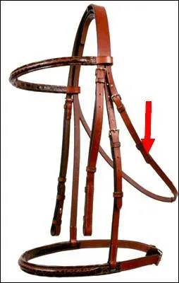 Quelle est cette partie du filet ?