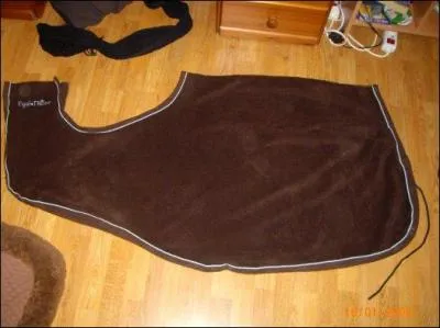 Quel est le nom de cet objet ?