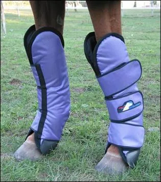 Sur cette image, le cheval porte...