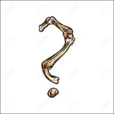 Dans le corps humain où se situe l'os appelé talus ?