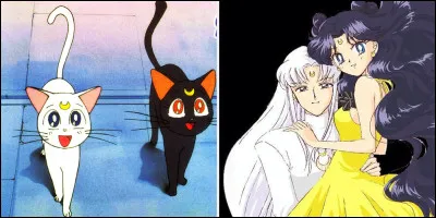 Et comment s'appelle sa chatte ?