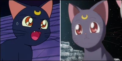 Quel est l'animal de Sailor Moon ?