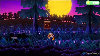 Combien de fois devons-nous obligatoirement passer par le Chemin de Penocta ?