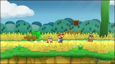 De quelles formes sont les deux pierres à insérer dans la Plaine Dragobé pour avoir accès au Château de Carbocroc ?