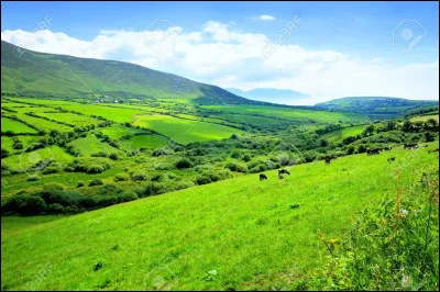 La chambre "............", Qu'elle était "............" ma vallée