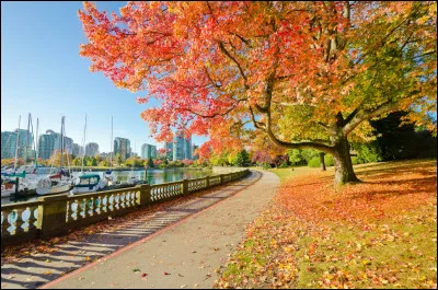 Quelle est l'Hymne national du Canada ?