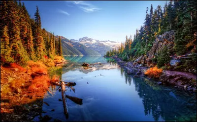 Combien d'habitants compte-il ?