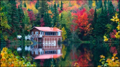 Laquelle de ces chanteuses connues est canadienne ?