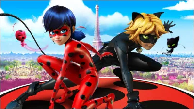 Dans quelle série d'animation pouvons-nous suivre les aventures de Ladybug et Chat Noir ?
