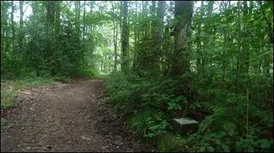 A quelle altitude situez-vous le point culminant du département ?