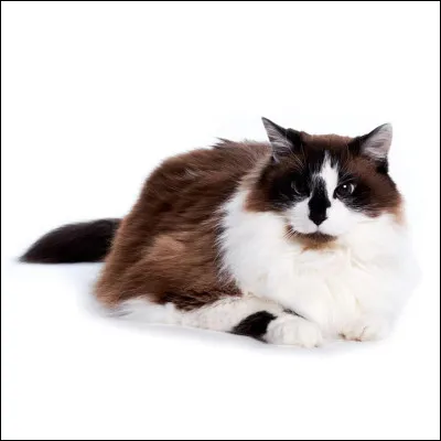 Cochez ce qui est vrai :