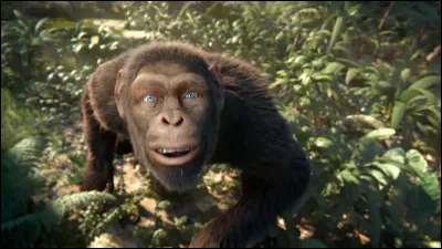 En quelle année Coldplay chante t-il "Adventure Of A Lifetime" ?