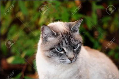 Un jour ta m&egrave;re vient te faire tout beau. Elle te dit que c'est l'heure de ton bapt&ecirc;me d'apprenti ! Ton chef te nomme apprenti... gu&eacute;risseur !