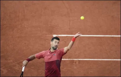 Novak Djokovic affronte le Français Pierre-Hugues Herbert au 1er tour.