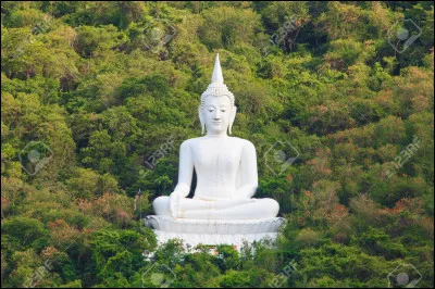 Lesquelles de ces célébrités sont Thaïes ?